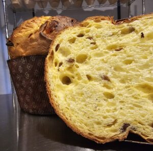 traditional panettone