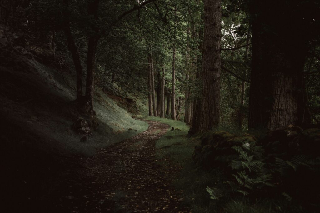 nature back 2
